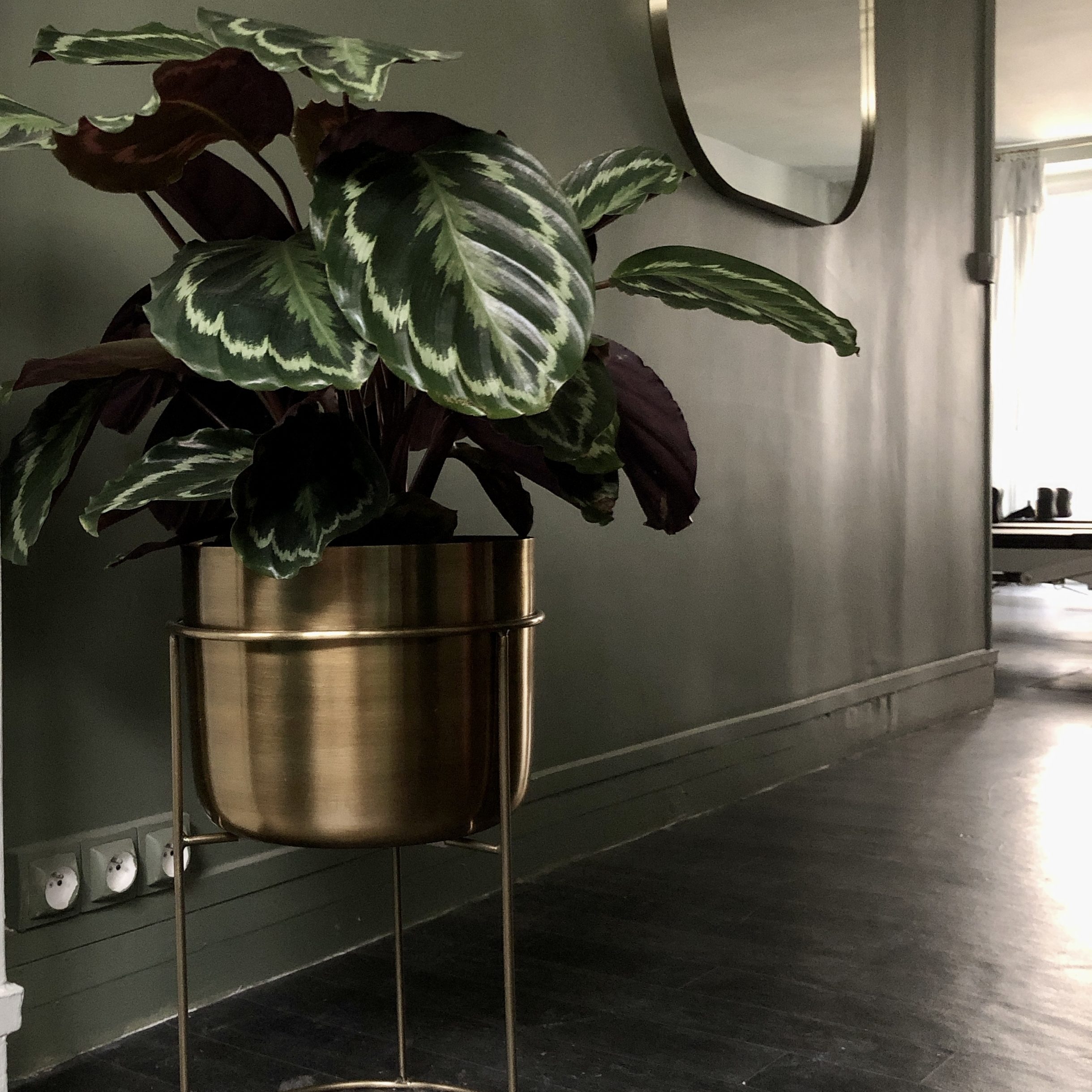 Une décoration dont chaque détail contribue à faire du studio un lieu accueillant